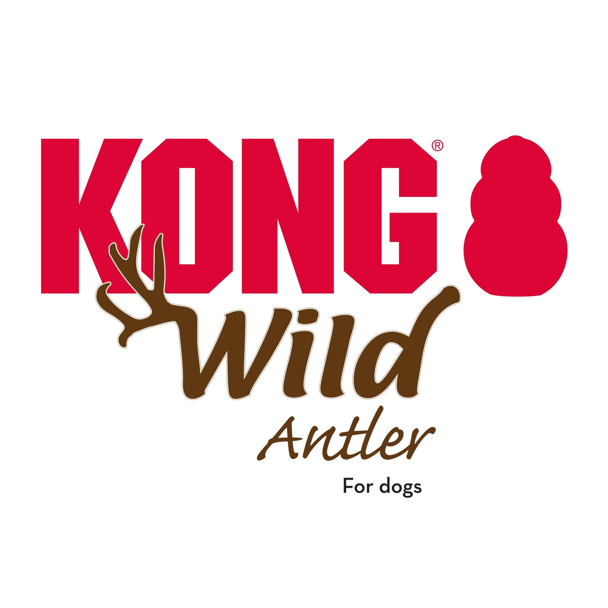 KONG Wild Antler Whole Lg