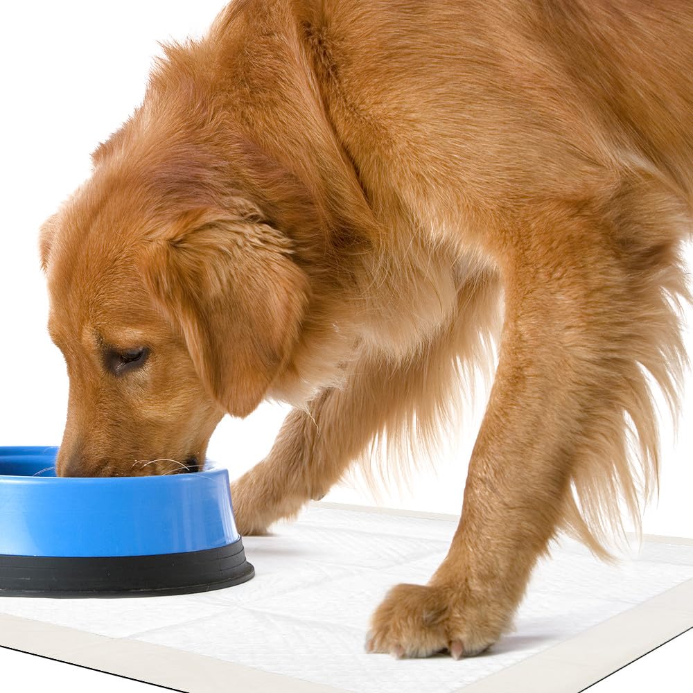 OUT! Ultimate Pro-Grip Dog and Puppy Pads, Regular - 50-Count