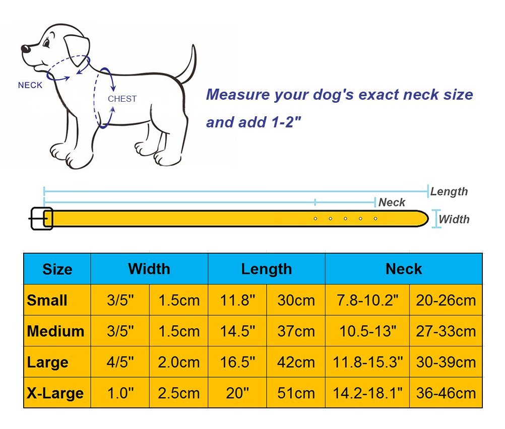 Aolove Basic Classic Adjustable Genuine Cow Leather Pet Collars For Cats Puppy Dogs (Medium, Blue-Spiked Rivet)