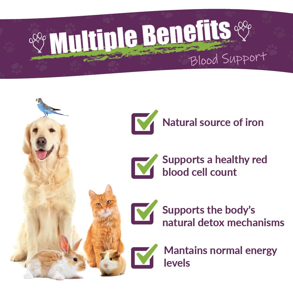 AMBER NATURALZ Radox Blood Support Herbal Blend for Dogs, Cats, Birds, Guinea Pigs, and Rabbits | Herbal Pet Supplement for Circ