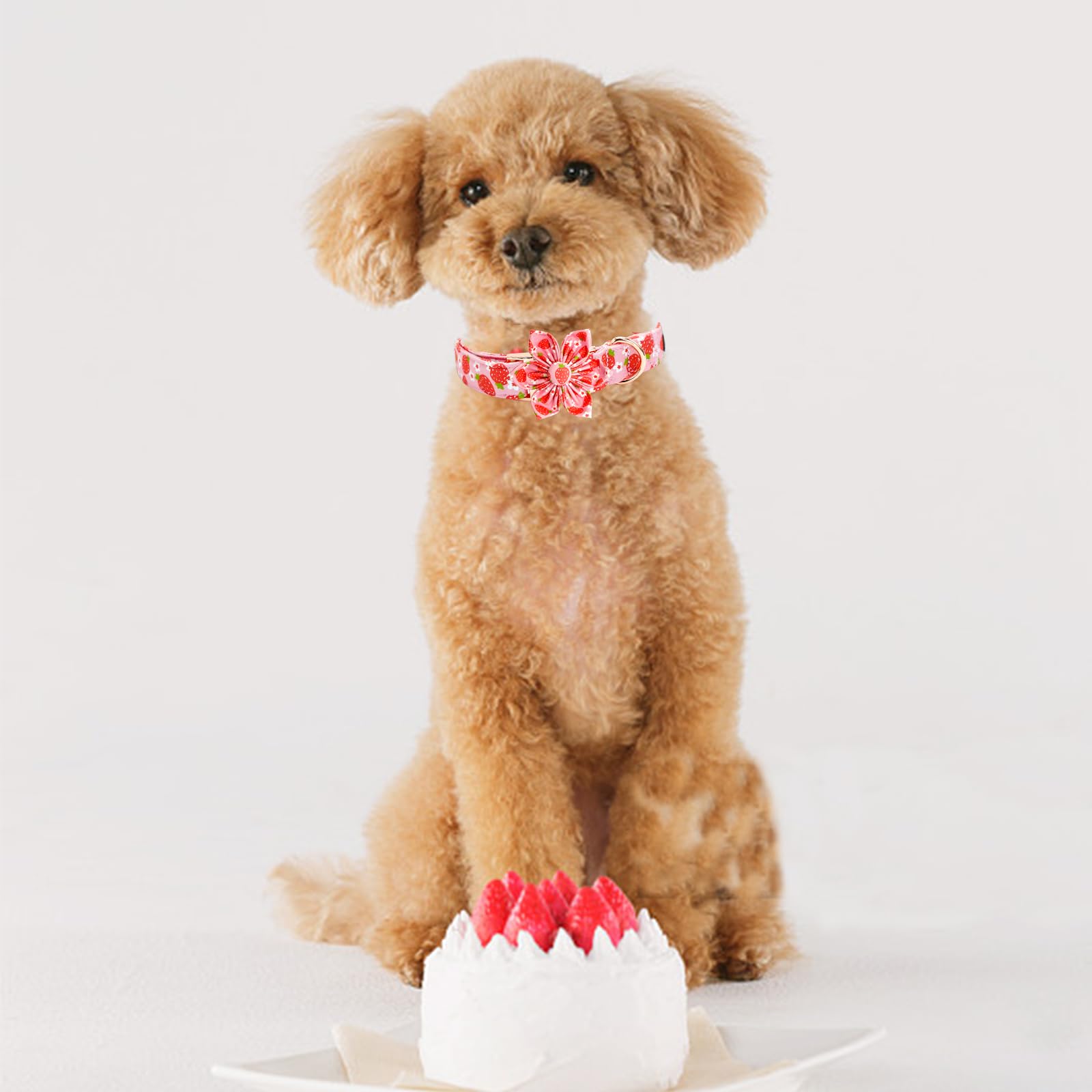 Elegant Little Tail Dog Collar, Spring Dog Collar With Flower Strawberry Print Cotton Soft Female Pet Collar Flower Dog Collar A