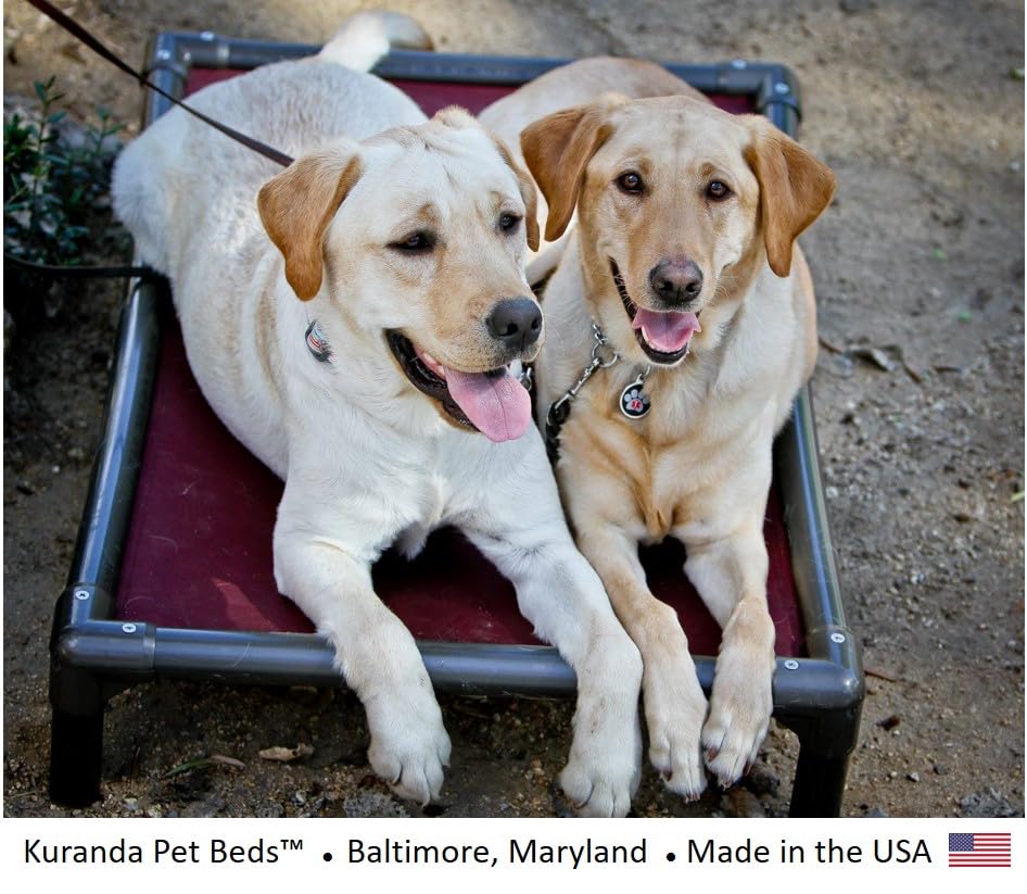 Kuranda Chewproof Dog Bed - Walnut PVC - 50'' x 36'' - Heavy Duty Vinyl - Burgundy