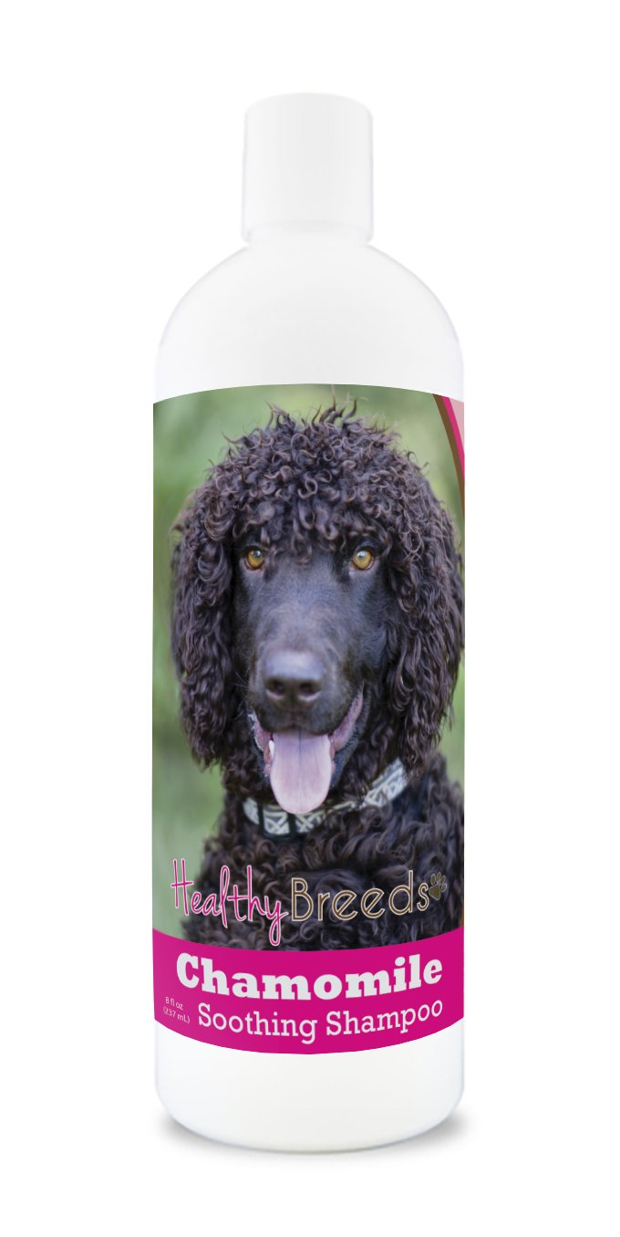 Healthy Breeds Irish Water Spaniel Chamomile Soothing Dog Shampoo 8 oz