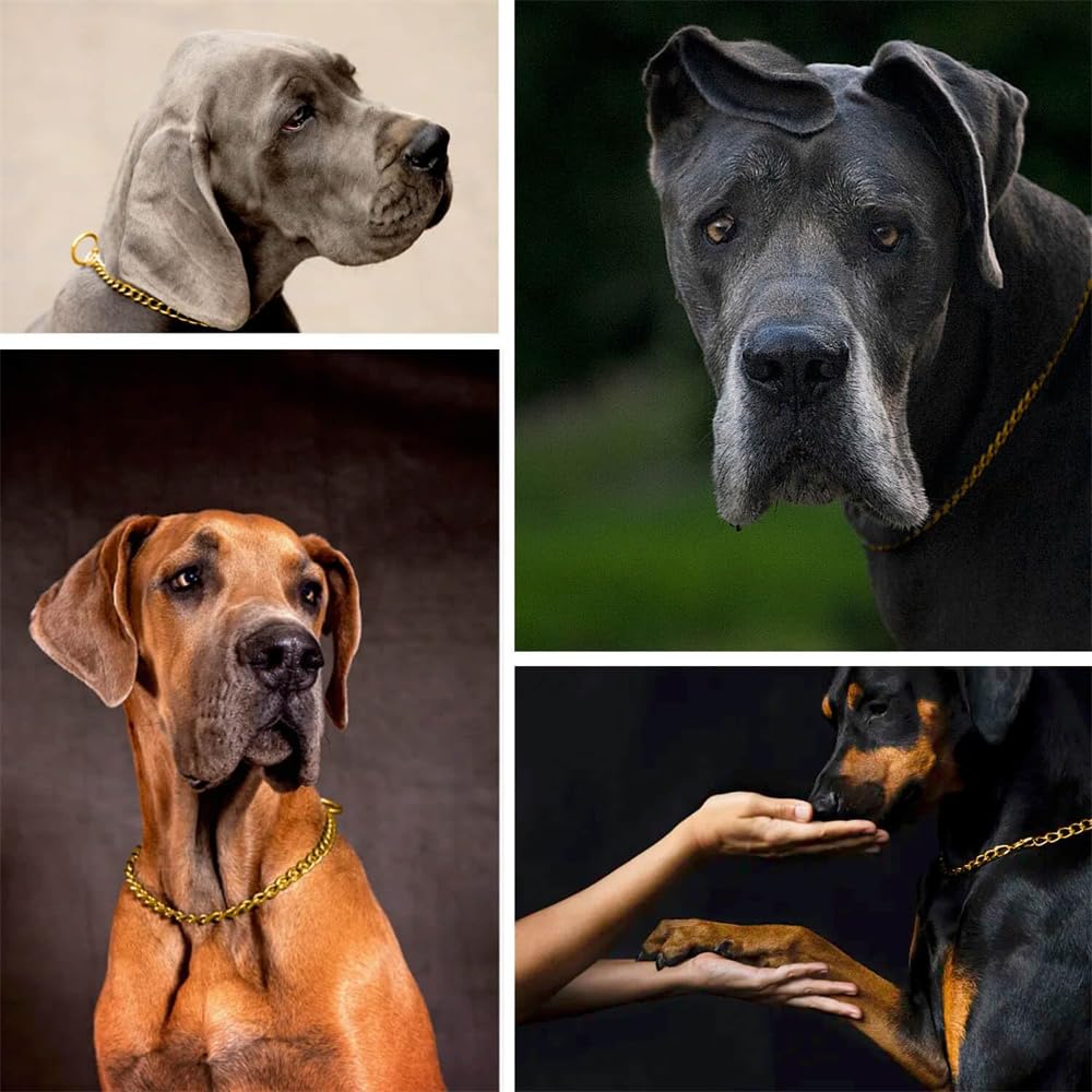 Gold Choke Collar For Dogs,Metal Slip Link Dog Choke Collar Training Heavy Duty Male Boys Dog Choker Chain Female Girls Martinga