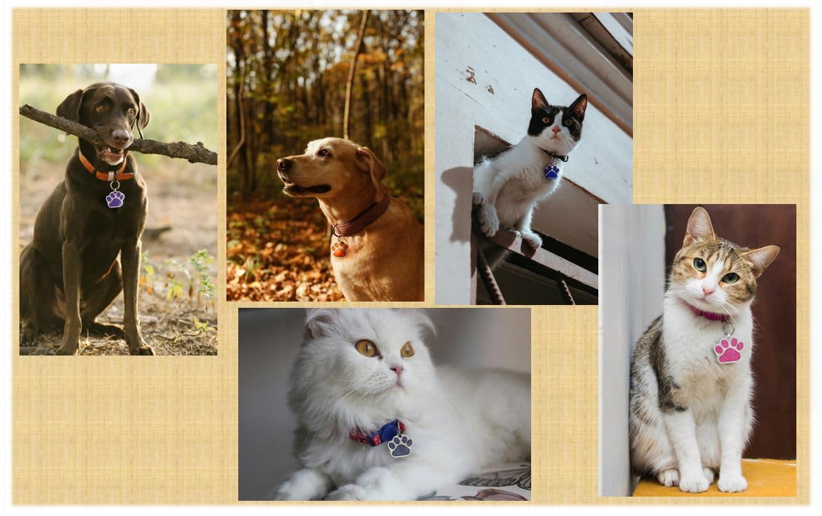 Pet Id Tag, Glitter Paw Bling, Cat Id Tag, Dog Id Tag, Custom Engraved, Dog Name Tag, Cat Name Tag, Dog Tags Personalized, Cat T