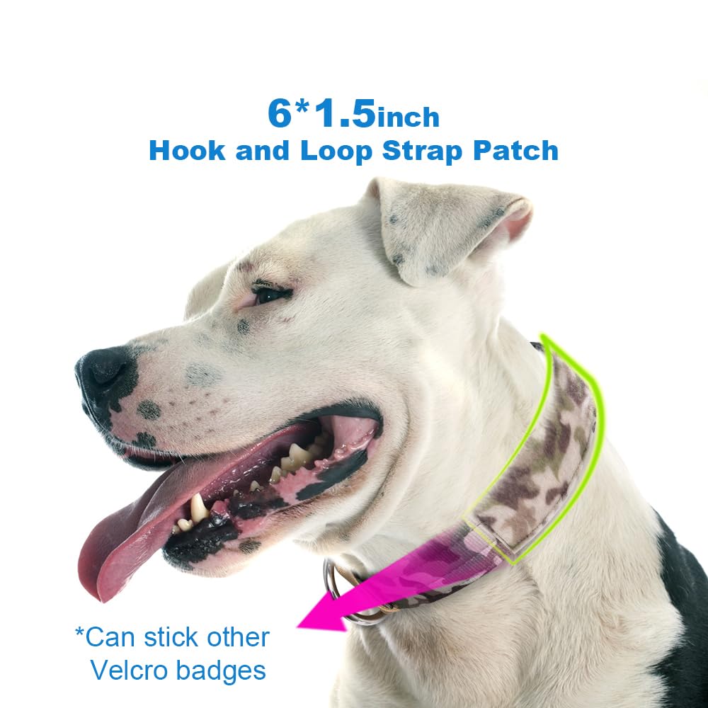 Tspro Tactical Dog Collar With Metal Buckle & Patch, 1.5 Inch Wide, Adjustable, Durable Thick Collar For Medium To Large Dogs (M