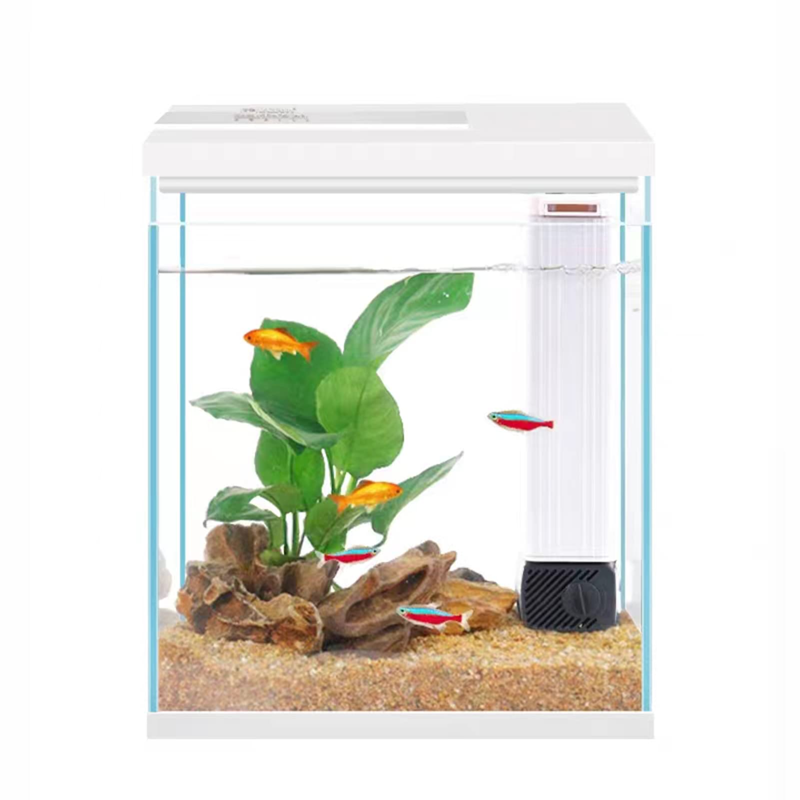 Pronetcus Betta Fish Tank, 2 Gallon Glass Aquarium Starter Kit, Small Fish Tank with Filter and Light.