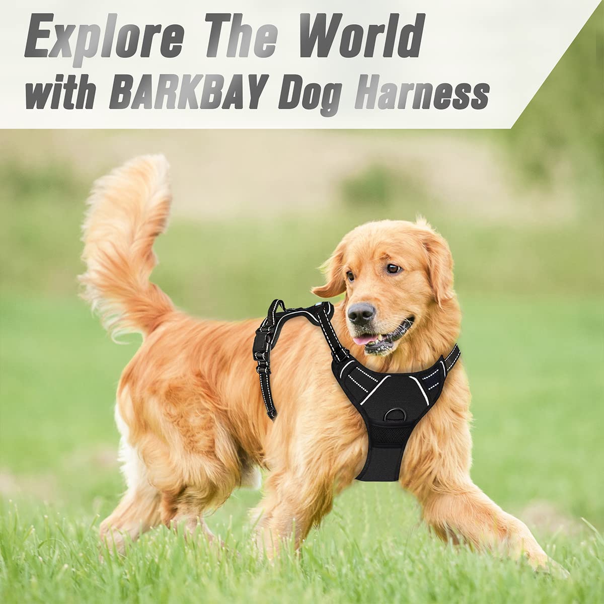 Barkbay No Pull Dog Harness Front Clip Heavy Duty Reflective Easy Control Handle For Large Dog Walking(Black,M)