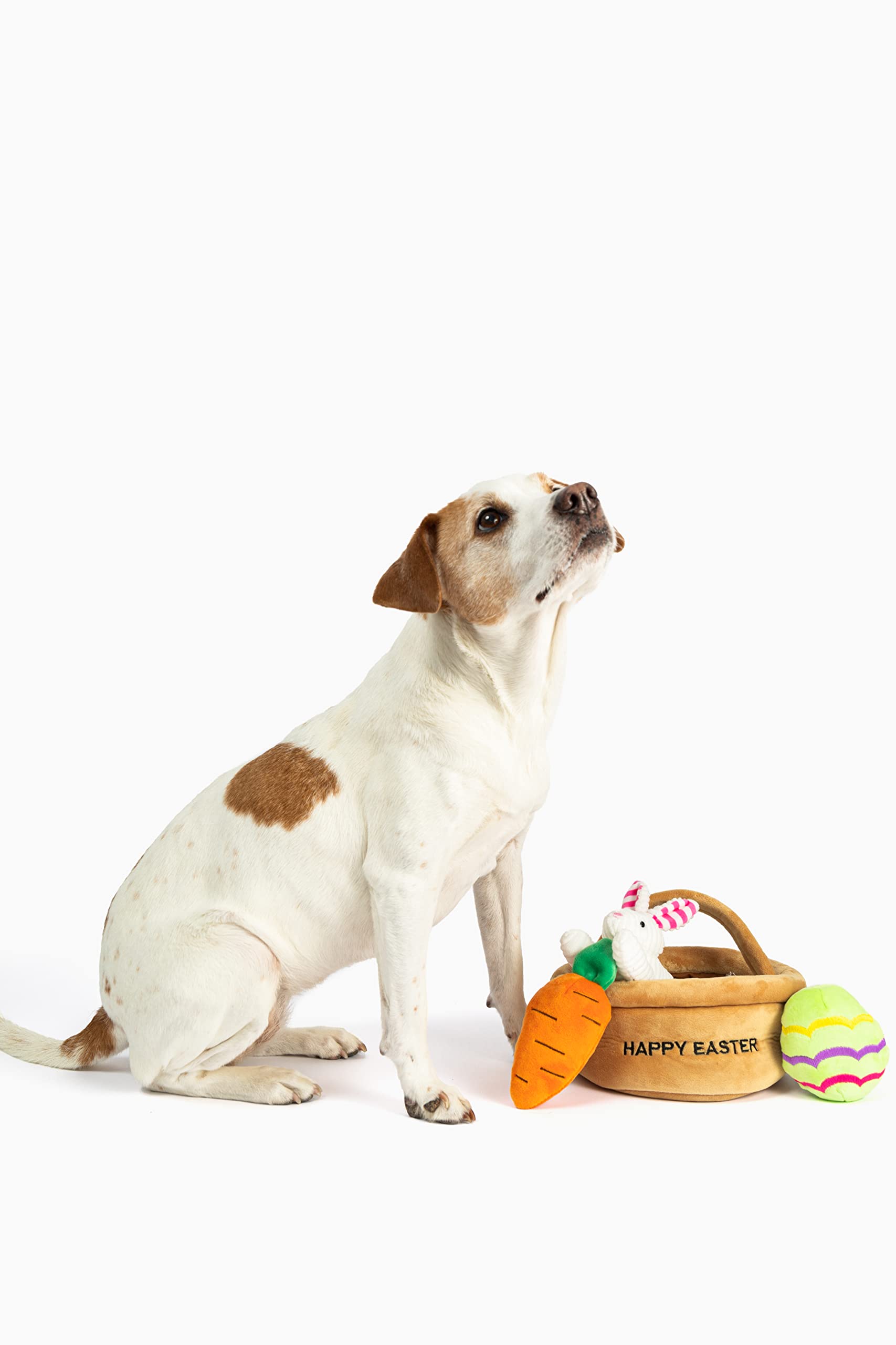 Midlee Hide A Toy Easter Basket Dog Toy