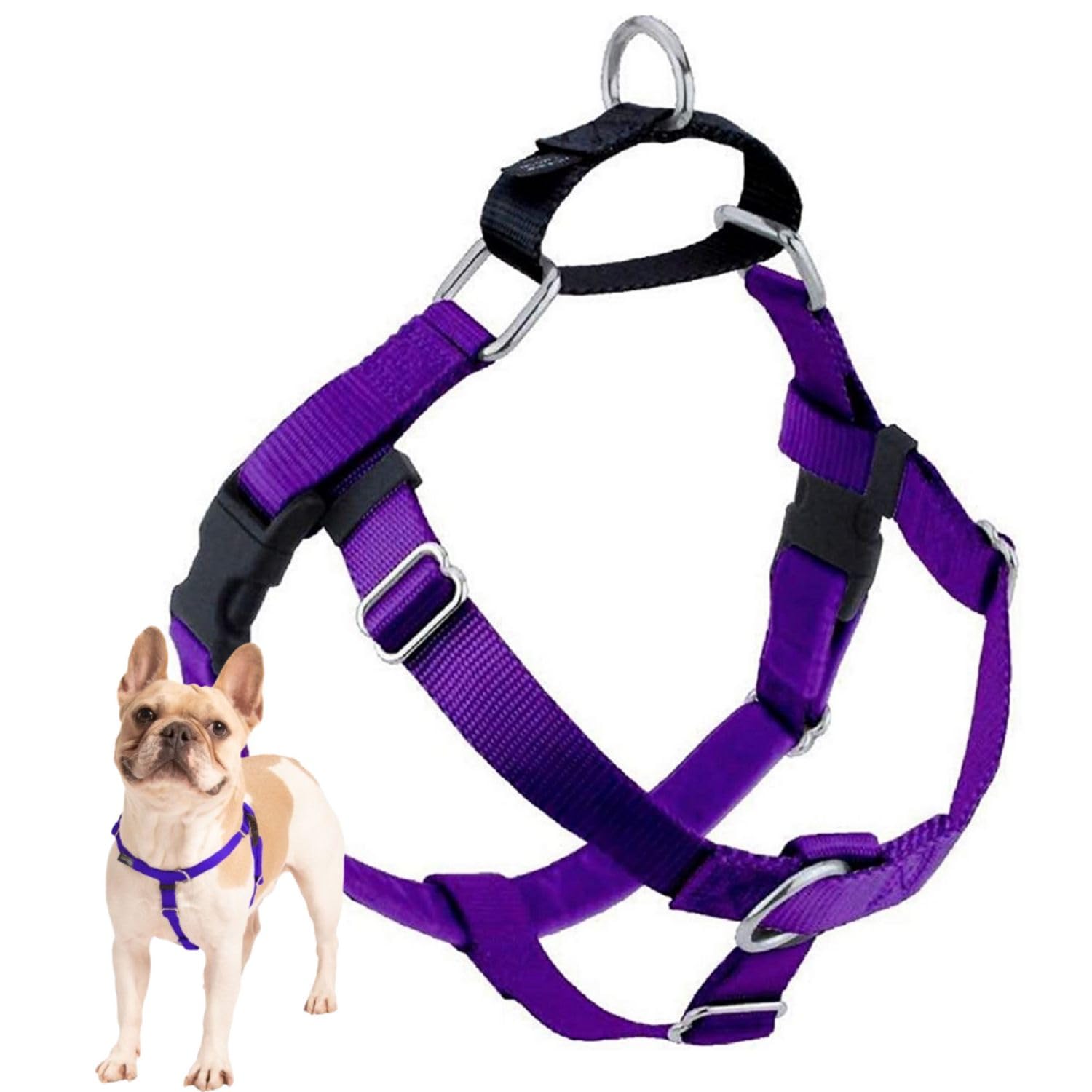 2 Hounds Design Freedom No Pull Dog Harness, Adjustable Harness, Easy Walking & Comfortable Control, Fits Small, Medium & Large Dogs, Solid Colors, Made In Usa, 1' Md, Purple