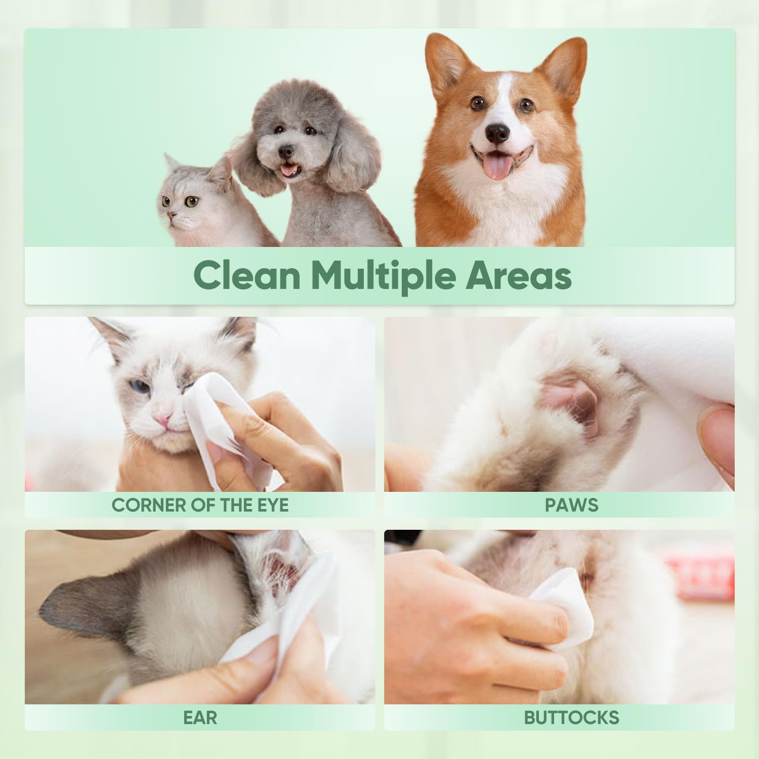 Pupmate Natural Pet Grooming Wipes, 100 Fresh Counts, Extra Moist & Thick For Dogs & Cats, Puppies & Kittens