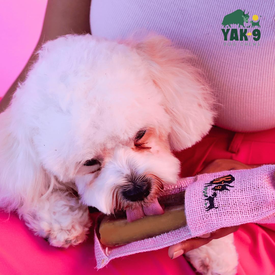 YAK-9 Yak9 Cheese Dog Chews, High Protein Treats, Natural, Rawhide Free, Long Lasting with Vitamins & Minerals, Medium Size, Str