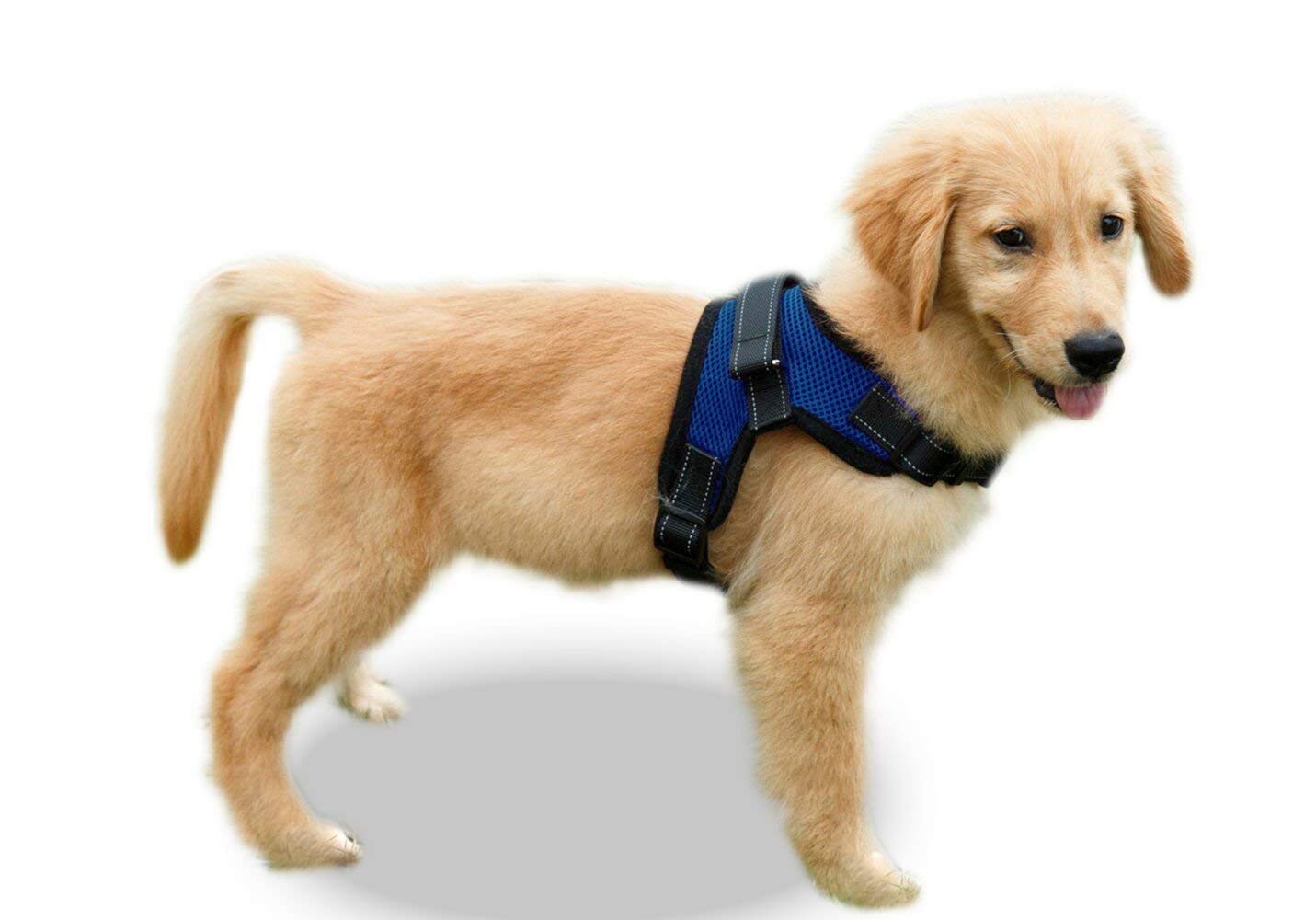Copatchy No Pull Reflective Adjustable Dog Harness With Handle (Xlarge Blue)