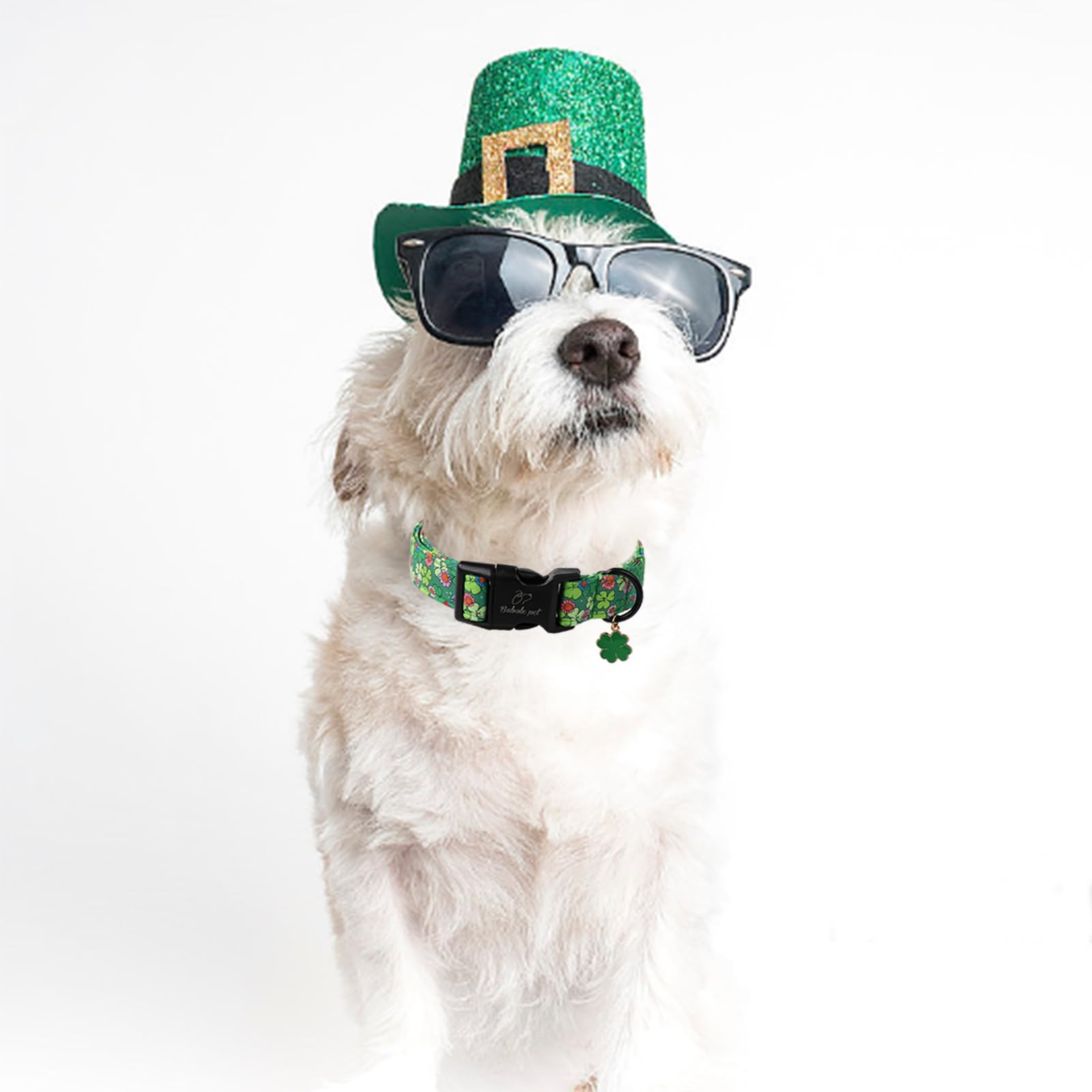 Babole Pet St Patricks Day Dog Collar, Lucky Clovers Dog Collar with Quick Release Plastic Buckle, Cute Shamrock Dog Collars for