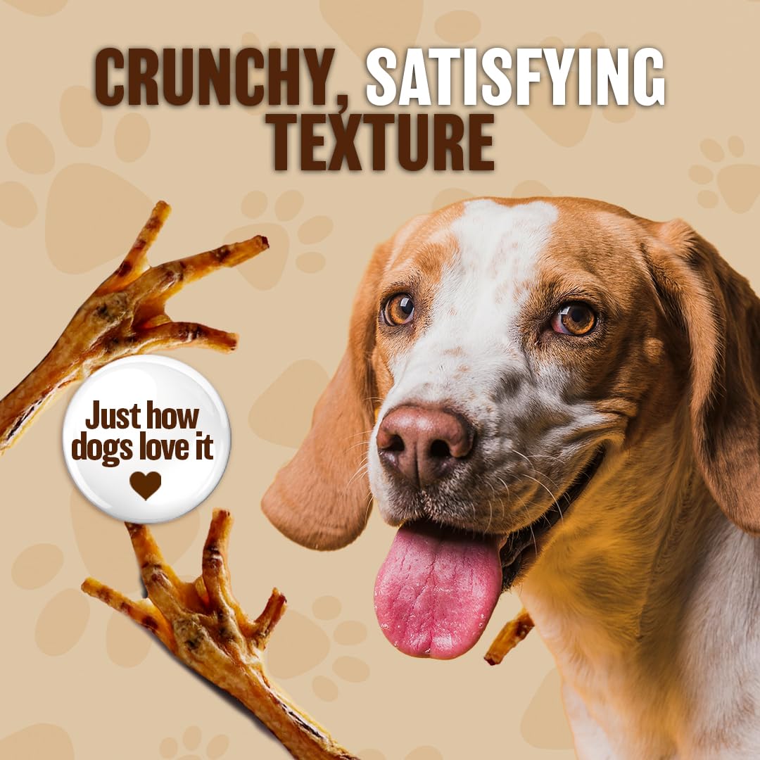The Primal Theory Dehydrated Chicken Feet for Dogs - Single Ingredient Dog Chews - Made in USA - 100% Digestible Chicken Foot Tr