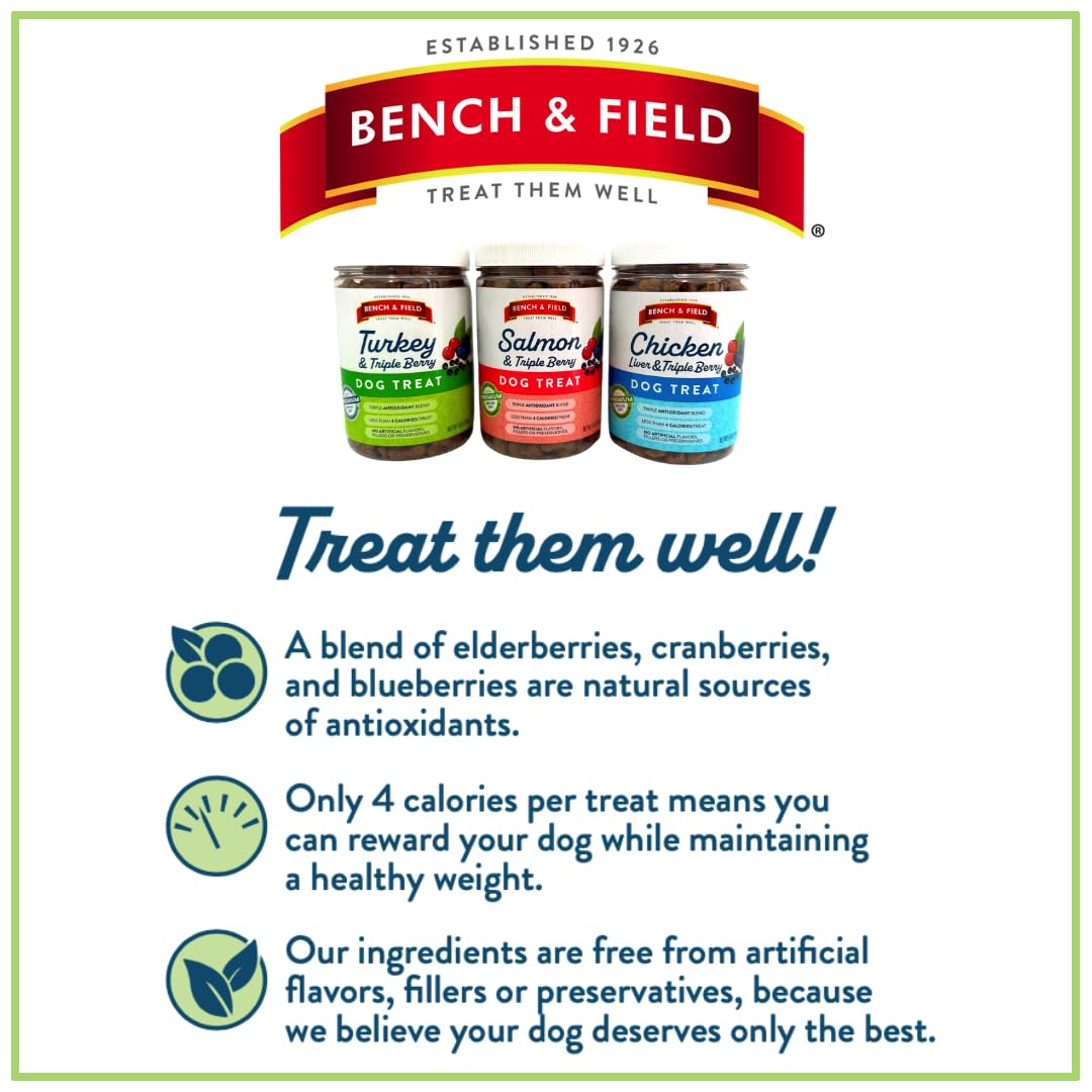 Bench & Field Holistic Natural Salmon & Triple Berry Dog Treats | Crunchy Bone-Shaped Bites | Antioxidant Blend, 10-Ounce Bottle