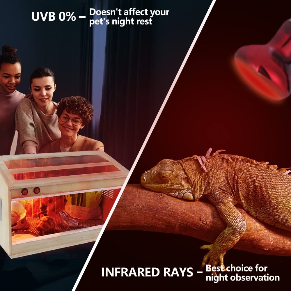 LUCKY HERP 75W Reptile Heat Lamp Bulbs 2 Pack, Reptiles & Amphibians Infrared Basking Spot Lamp, Heat Light Bulb for Turtle, Bea