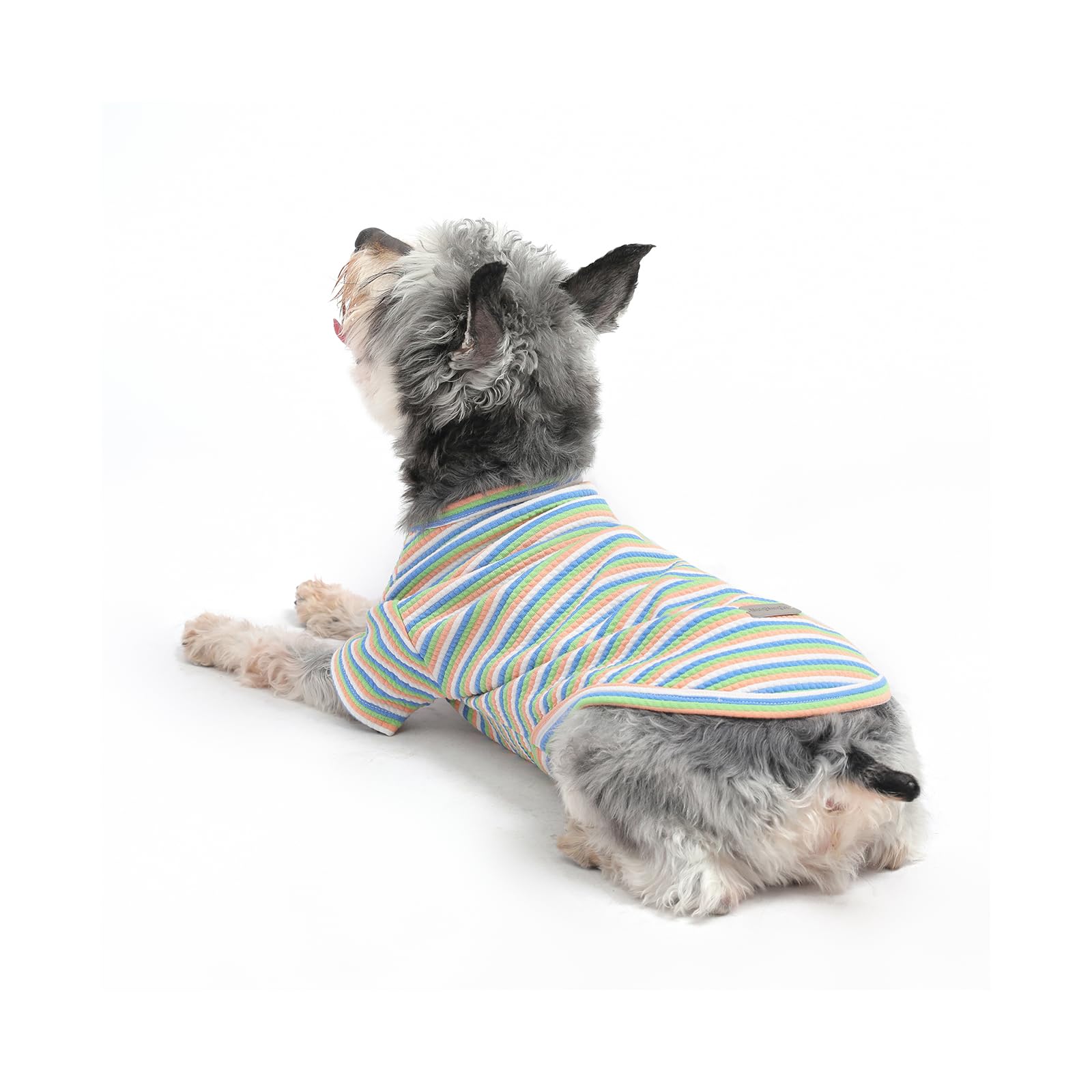 Mengmengda Dog Clothes For Small Dogs,Puppy T Shirt For Small Dogs, Dog Cotton Underwear Indoor During Winter, Schnauzer, Chihua