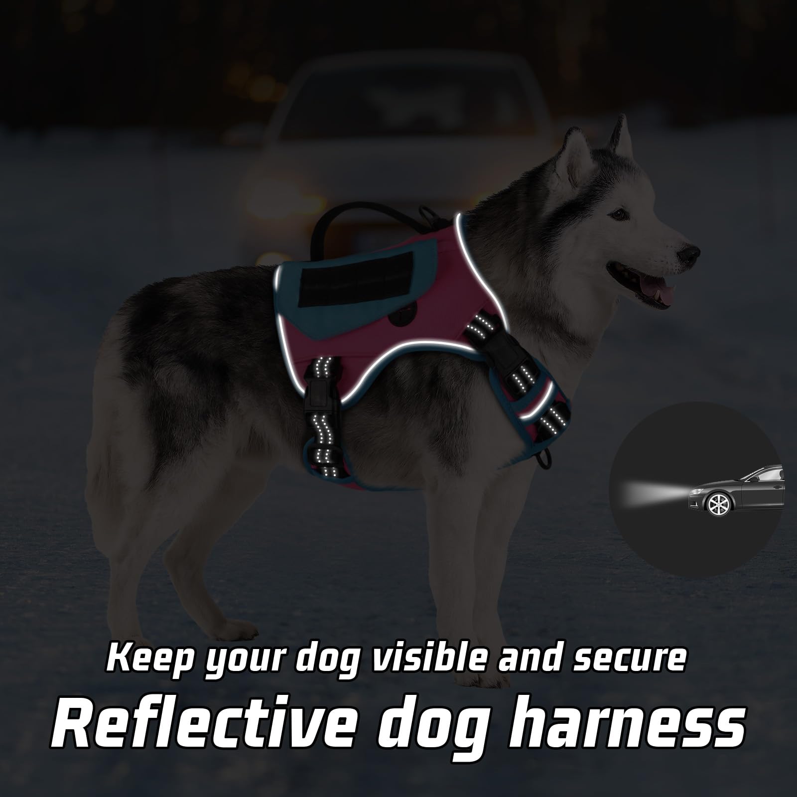 Wingoin Tactical Dog Harness For Small Dogs, No Pull Harness With Handle Pockets Poop Bag, Reflective Dog Vest, Military Service Heavy Duty Big Dog Harness For Walking Hiking Training, Pink Blue, S