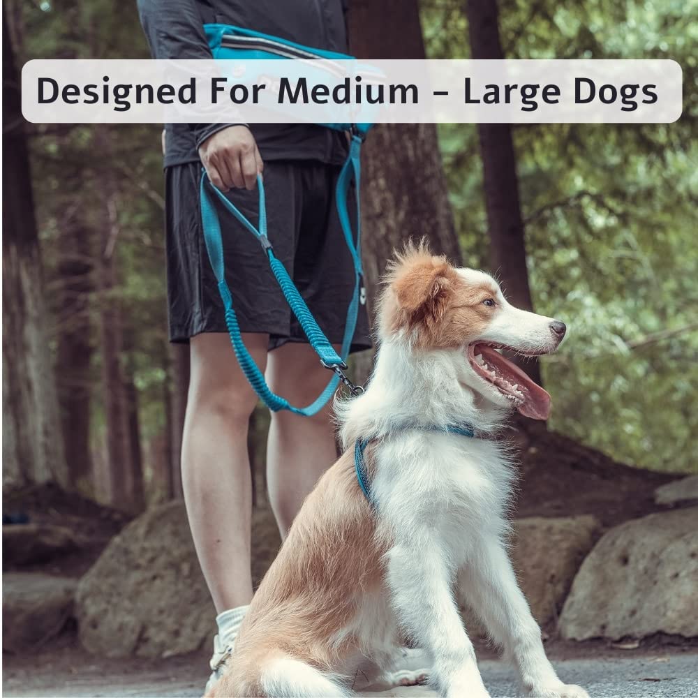 Doco Heavy Duty Hands Free Dog Leash, Retractable Bungee For Running Walking Jogging, Training, Hiking  Adjustable Waist Belt, R