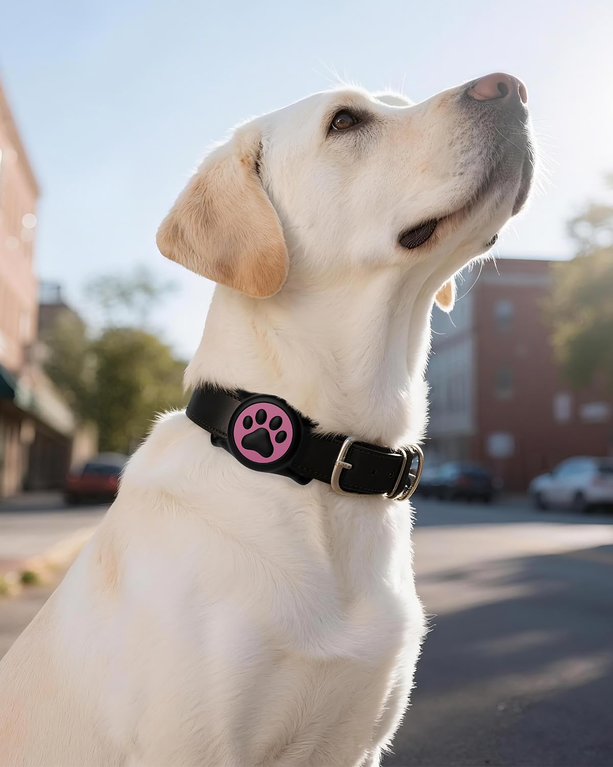 WhoseID IP68 Waterpoof Dog Air tag Holder, Stretchy Silicone Full Body Covered Apple Air Tag Holder for Dog Cat Collar Fit All W