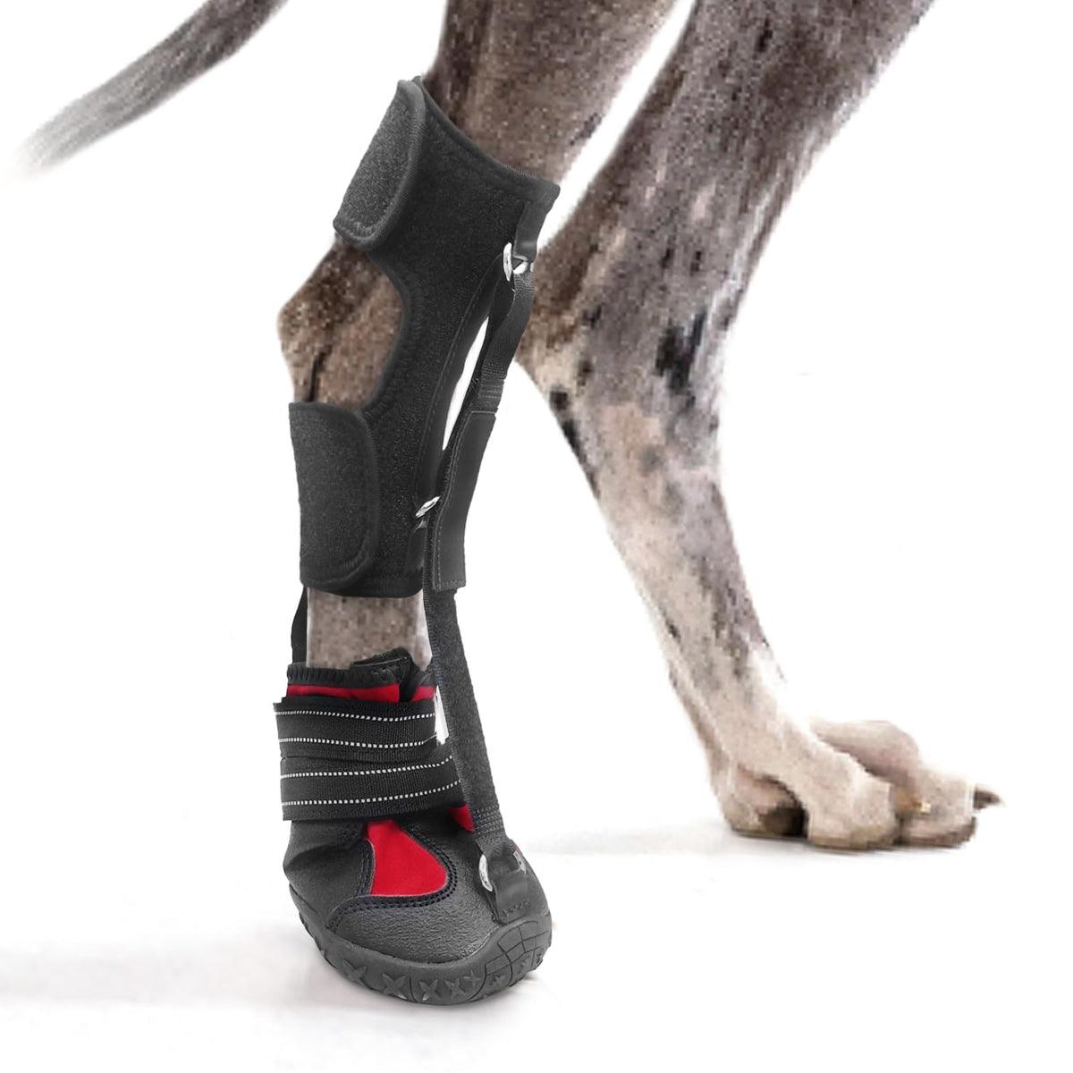 Strap-On Drop Foot Brace (No Knuckling Boot Brace) for Dogs- Corrective Dog Shoes to Safely Lift Toes for Foot Issues, Arthritis