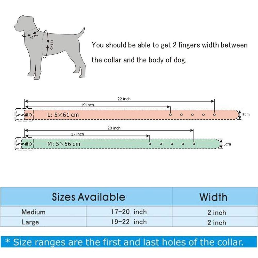 Haoyueer Rhinestones Dog Collars Flower Pattern Rhinestone Studded Leather Sparkly Crystal Diamonds Dazzling Sparkling Elegant Fancy Pu Leather Dog Collar For Medium & Large Dogs(Red,M)