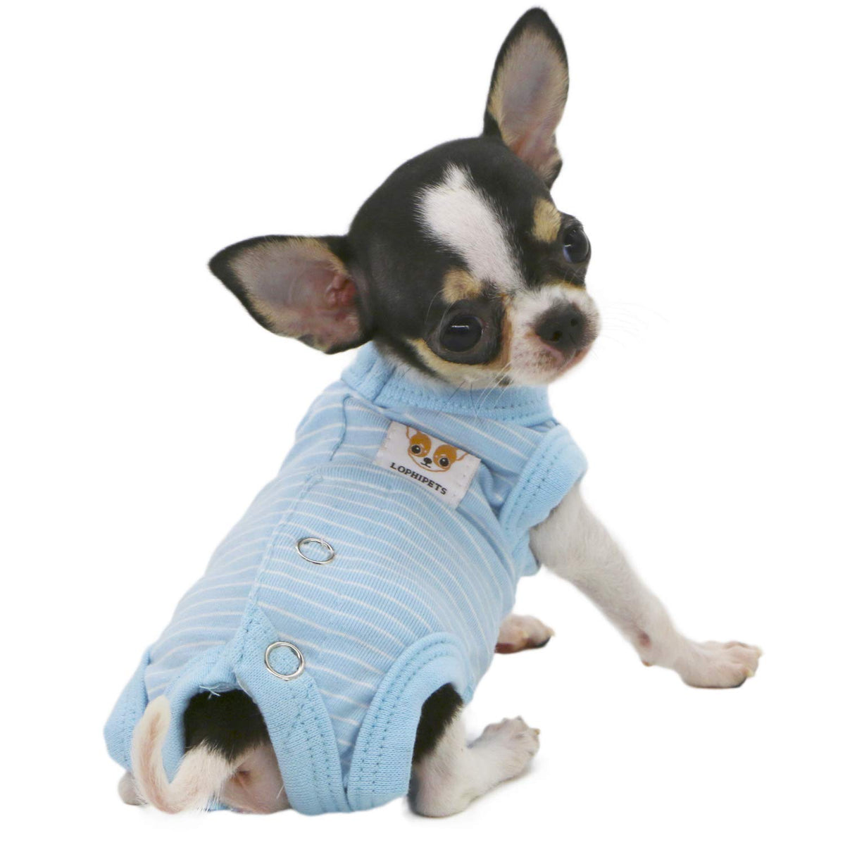 Lophipets Girl Dog Shirts Recovery Suit Pajamas For Small Teacup Dog Chihuahua Yorkie Puppy Cat Clothes-Cambridge Blue Strips/Xxs