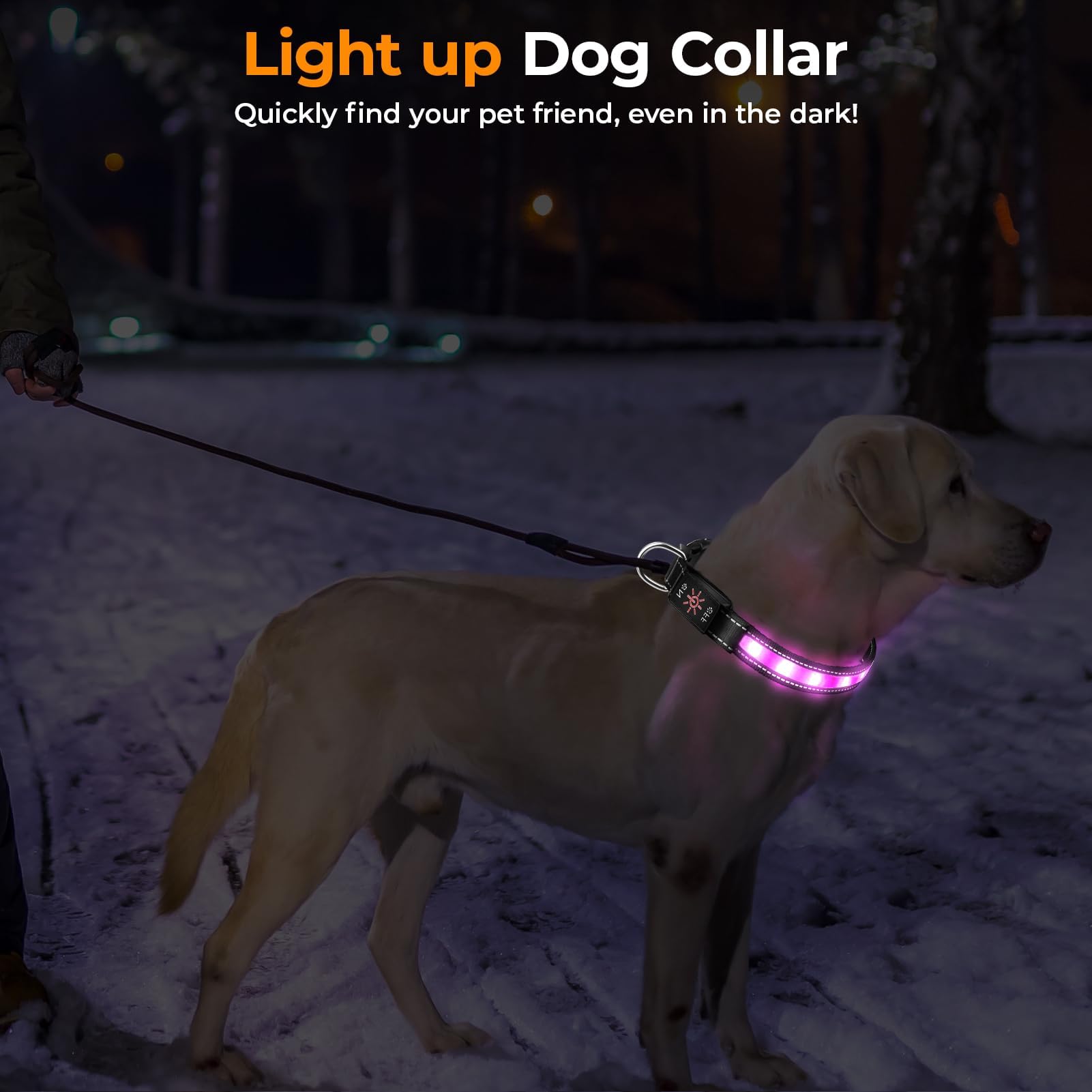 Geyrut Light Up Dog Collar, Usb-C Rechargeable And Waterproof Dog Glow Collar For Night Walking, Adjustable Soft Nylon Mesh Led
