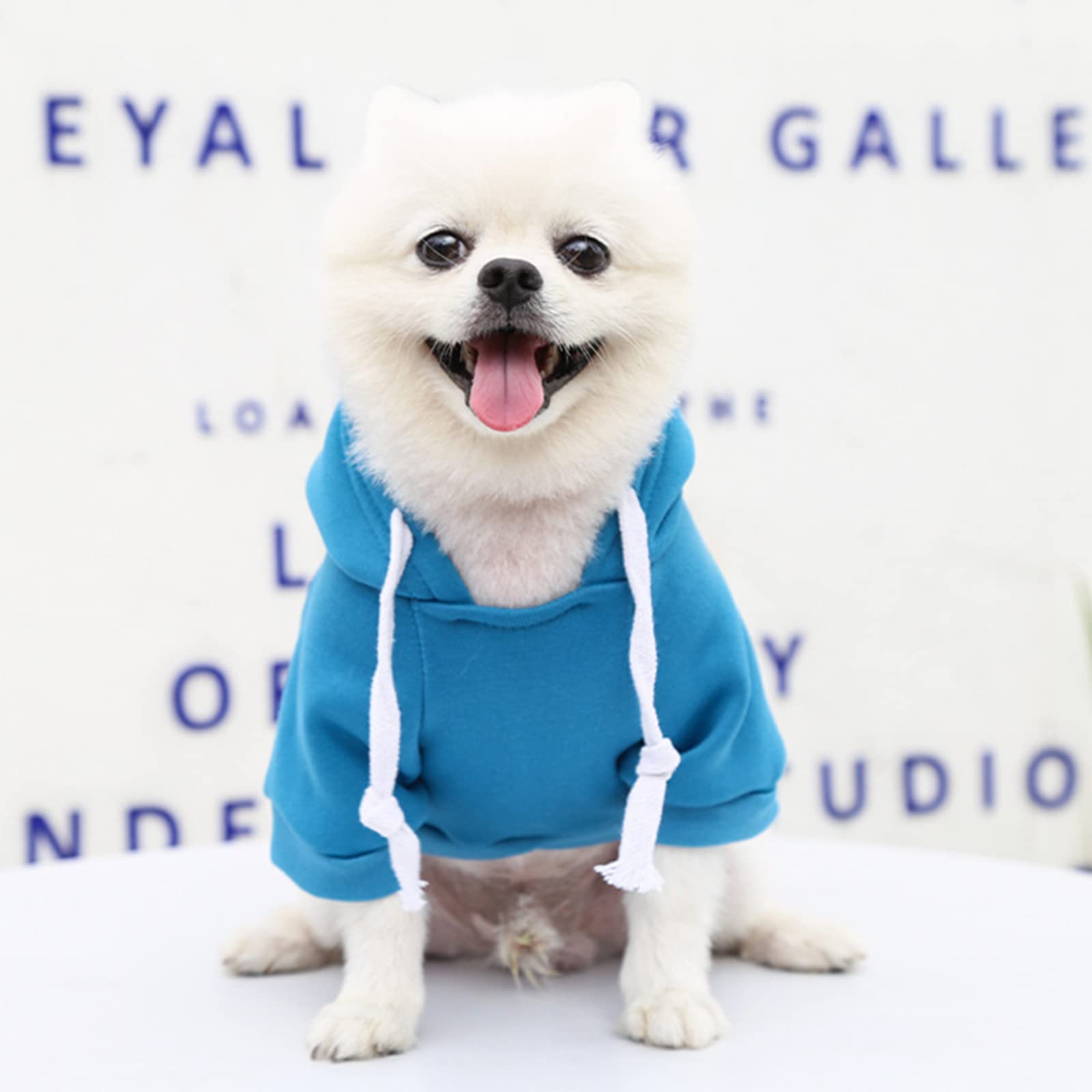 Petcare Small Dog Hoodie Cat Sweater Blue Warm Soft Fleece Sweatshirts With Pocket Fall Winter Puppy Sweaters Cat Clothes For Ca