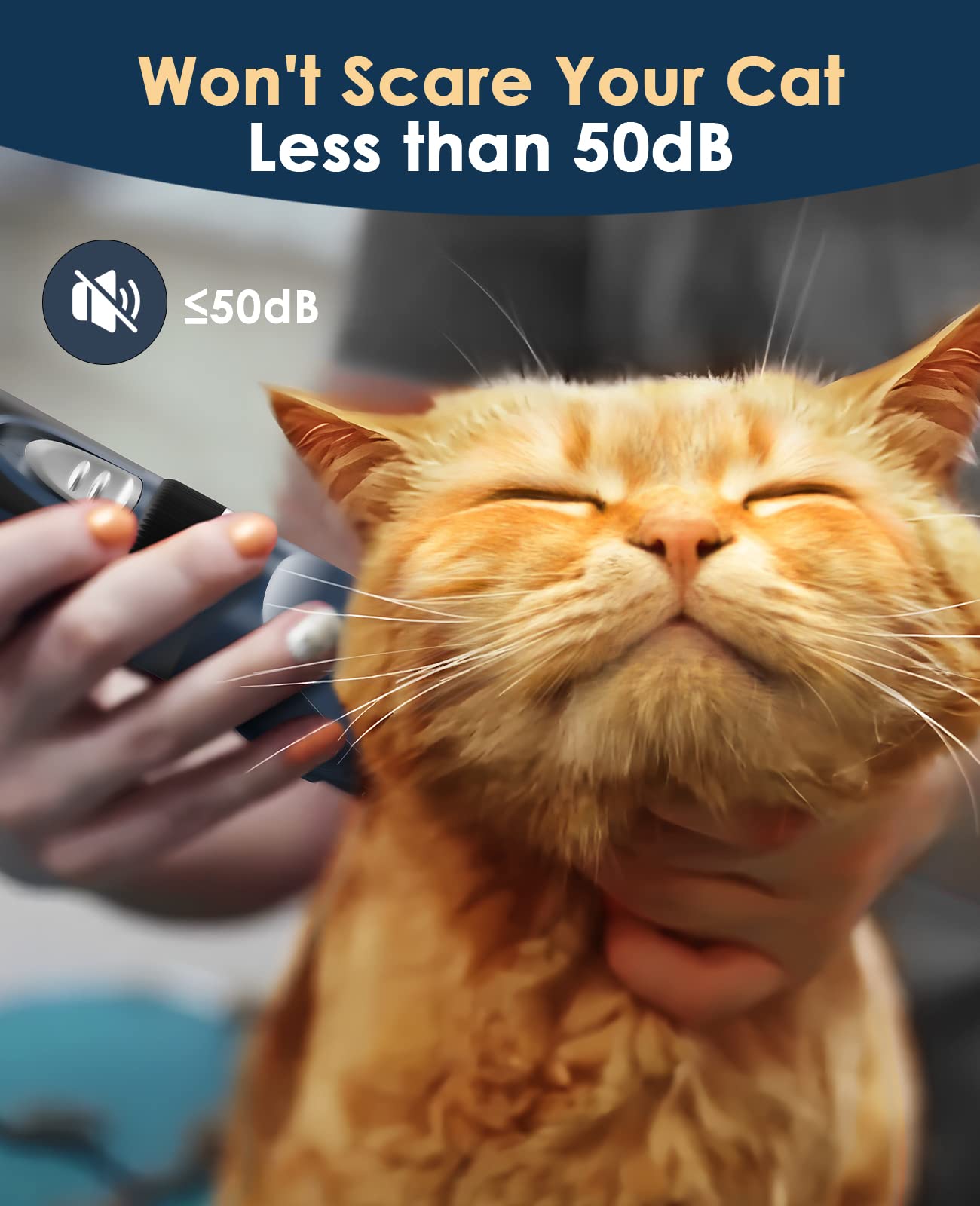 oneisall Cat Clippers, Quiet Cordless Grooming Kit, 2 Speed, Stainless Steel, 12 Piece Set, Blue, Model X2