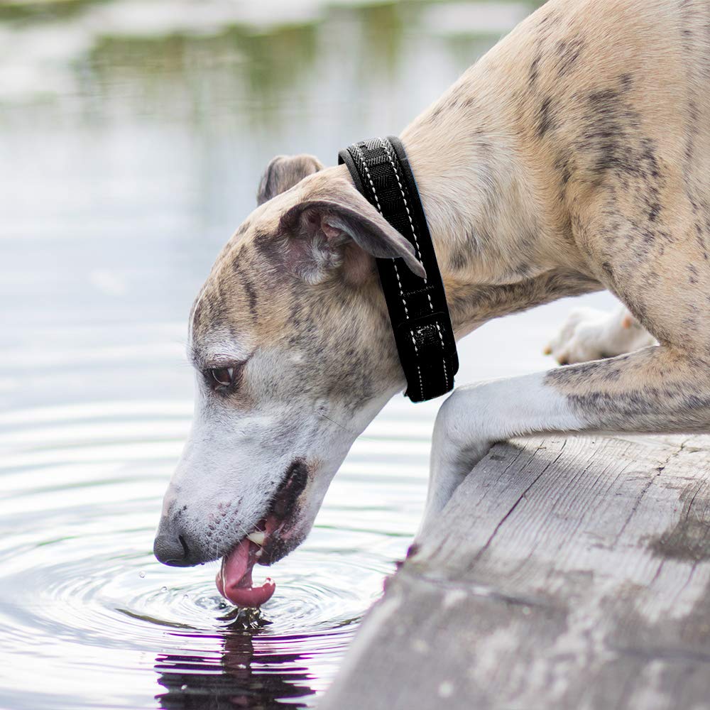 Hurtta Casual Padded Dog Collar, Raven, 8-12 In