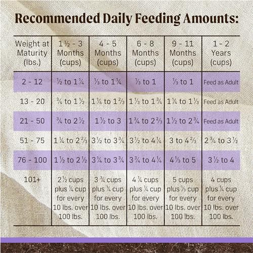 Merrick Premium Grain Free Dry Puppy Food, Wholesome And Natural Kibble With Real Chicken and Sweet Potato - 22.0 lb. Bag