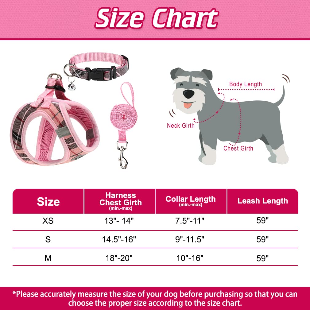 Expawlorer Dog Harness And Leash Set - Step In Dog Vest Harness No Pull With Bell Collar, Breathable Mesh Adjustable Puppy Small Dog Harness, Reflective Escape-Proof For Training Outdoor Walking