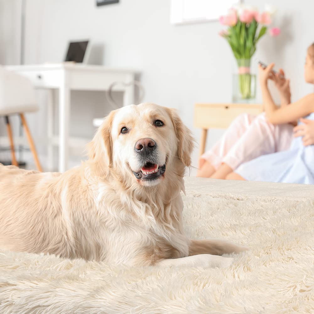 Petami Waterproof Dog Blanket For Small Medium Dogs, Calming Fleece Cat Blanket, Couch Protector Washable Sherpa Faux Fur Pet Throw For Puppy, Soft Reversible 29X40 Cream Beige