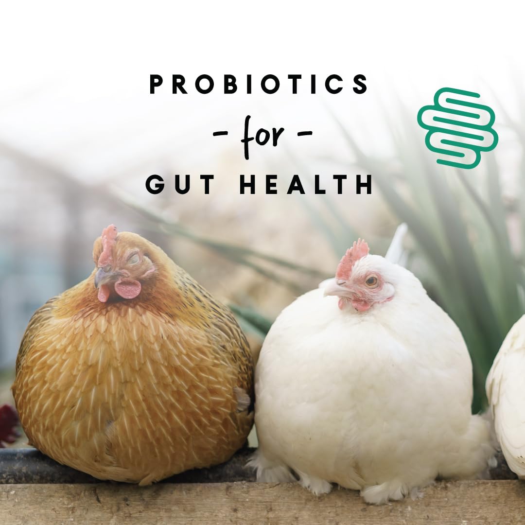 Manna Pro Layer Pellets Chicken Feed, 16% Protein Complete Feed for Laying Hens with Probiotics for Digestive Health, Nutrient-R