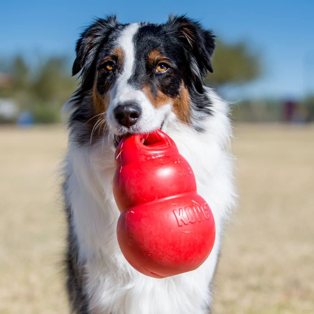 KONG Bounzer X-Large Dog Toy - Red, Durable Material, Perfect for Playtime, 1 Count