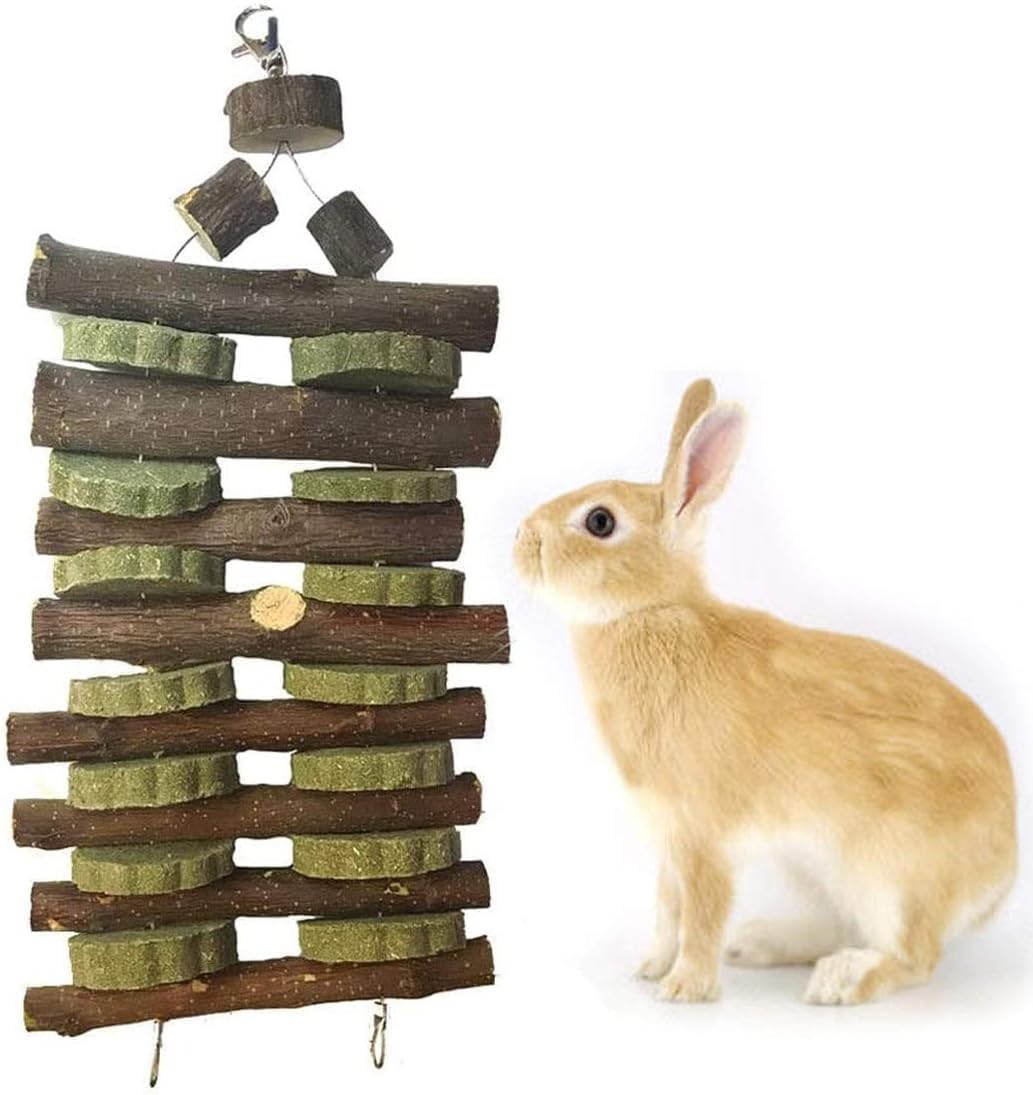kathson Rabbit Bunny Chew Toys for Teeth, Natural Apple Wood Guinea Pigs Hanging Treats Chinchilla Treats Sticks for Rabbit Hams
