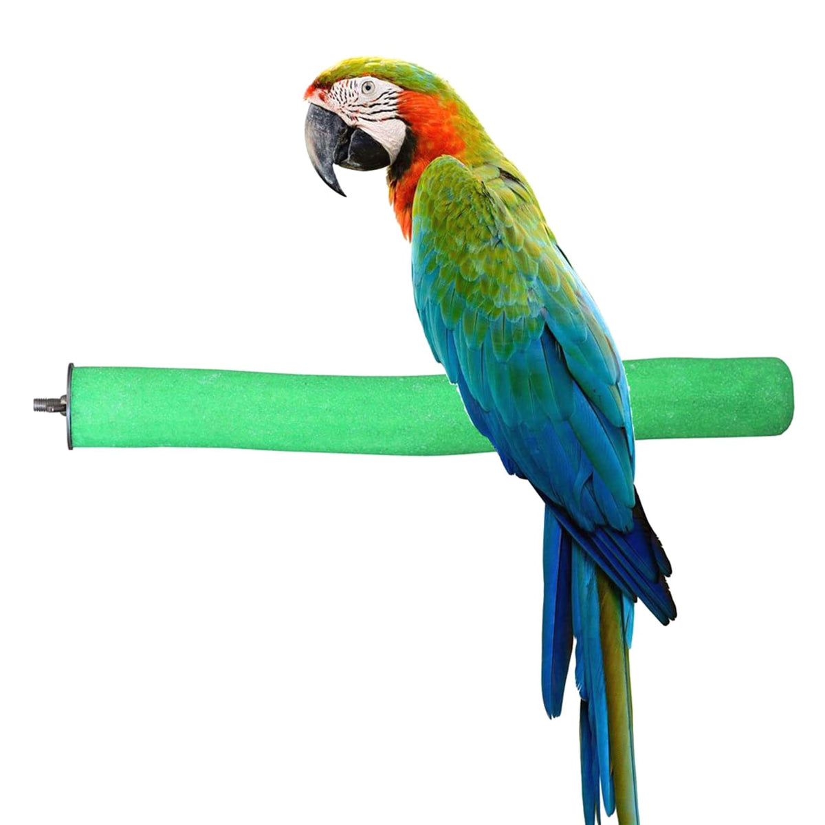 Bird Perch Rough-Surfaced Nature Wood Stand Toy Branch For Parrots