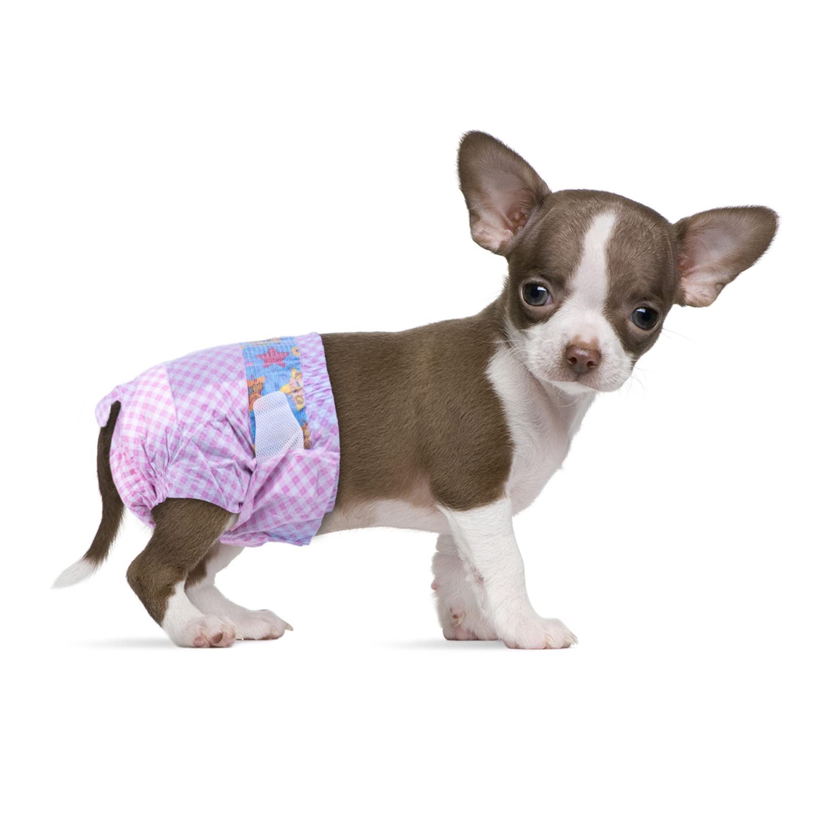 Flying Paws Disposable Female Dog Diapers, Puppy Diapers with Adjustable Elastic Waistline for Female Dog or Cat in Heat, Incont