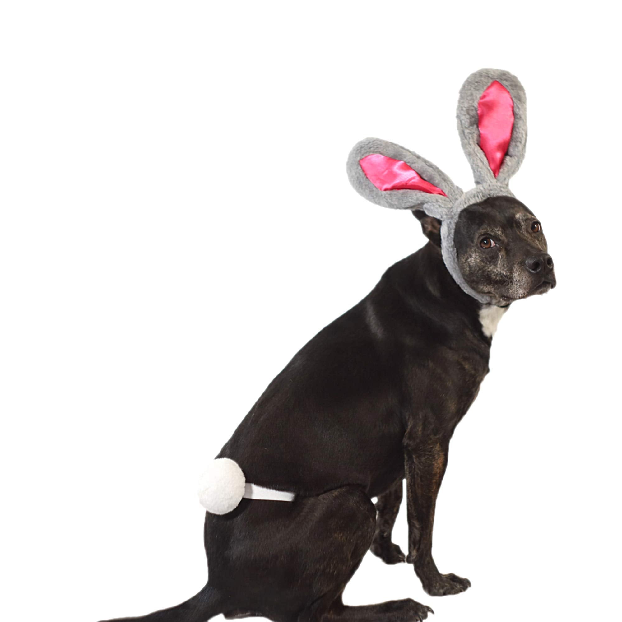 Midlee Easter Bunny Gray & Pink Rabbit Ears For Large Dogs Headband With Tail