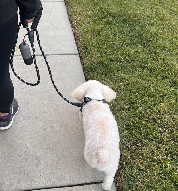 Rocket Pups Premium Durable Rope Dog Leash With Included Flashlight Poop Bag Holder. Soft Padded Handle, Ultra-Reflective Thread
