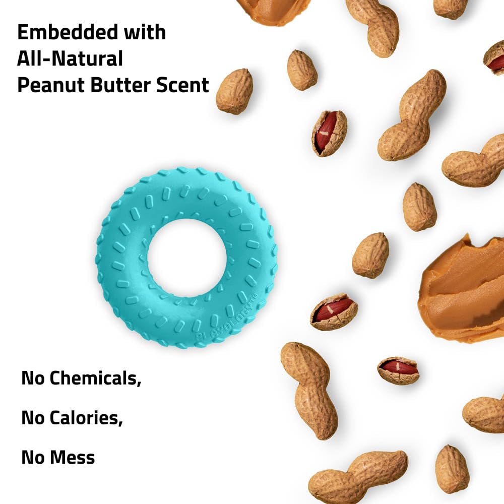 Playology Dual Layer Ring Toy, for Large Dogs (35lbs and Up) - for Heaviest Chewers - Engaging All-Natural Peanut Butter Scented