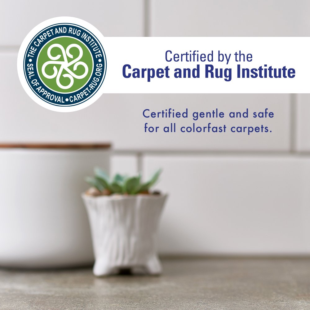 Rocco & Roxie Stain & Odor Eliminator - 32oz Enzyme Cleaner for Pet Urine, Clear, Carpet & Home Use