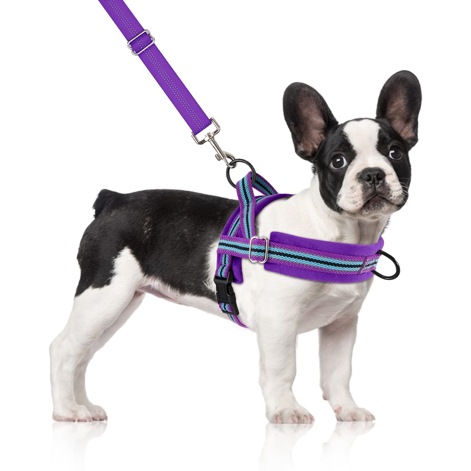 Slowton No Pull Small Dog Harness And Leash Set, Puppy Soft Vest Harness Neck & Chest Adjustable, Reflective Lightweight Harness & Anti-Twist Pet Lead Combo For Small Medium Dogs (Pu-Front Clip, M)