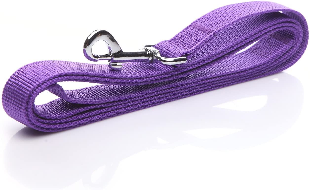 Nylon Dog Leash 8 Feet Long, Walking Training Dog Leashes For Medium Large Dogs(1'' X 8 Ft, Purple)