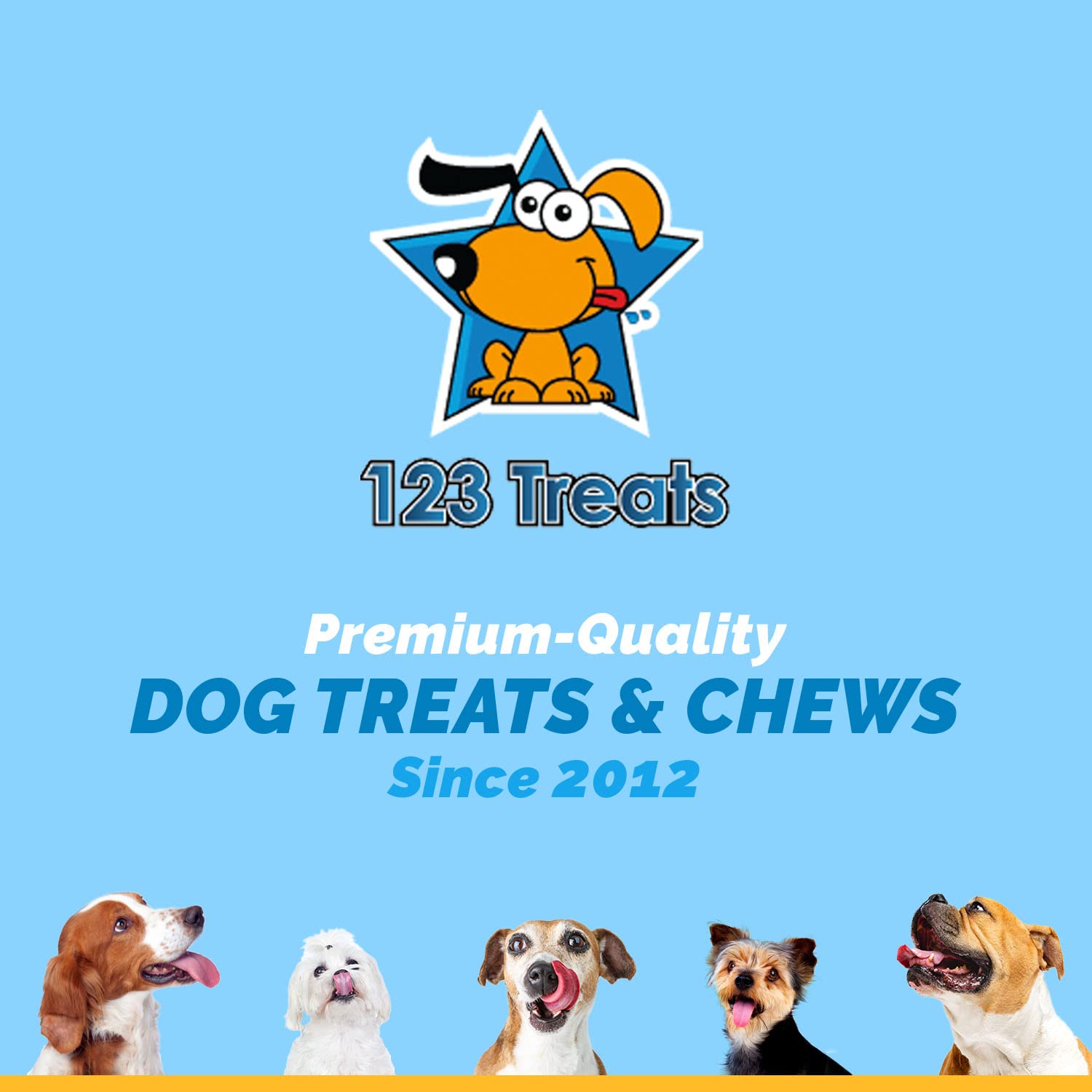 123 Treats Pig Ears for Dogs - 100% Natural Long Lasting Pork Dog Chews with Delicious Dog Chew Treat, Ideal for All Chewers, He