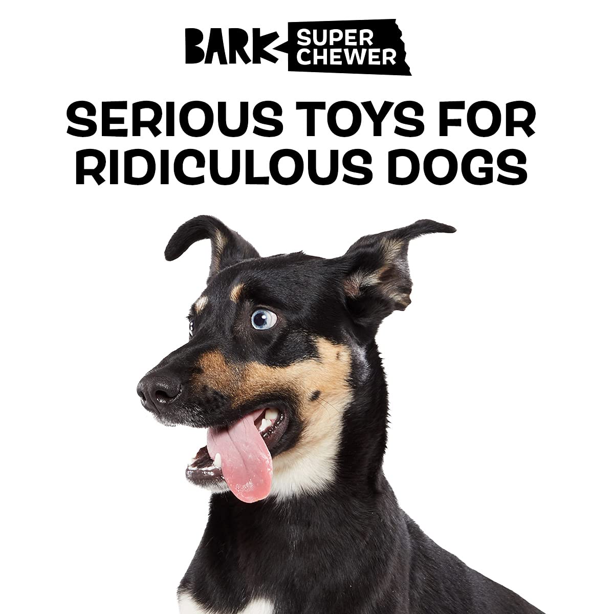 Barkbox Super Chewer Tough Dog Chew Toys For Aggressive Chewers, Treat Dispensing (Carrot - Small)