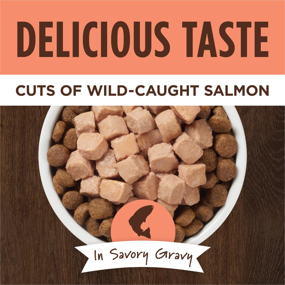 Natures Variety Instinct Healthy Cravings Grain Free Real Salmon Recipe Natural Wet Dog Food Topper, 3 Ounce (Pack of 24)