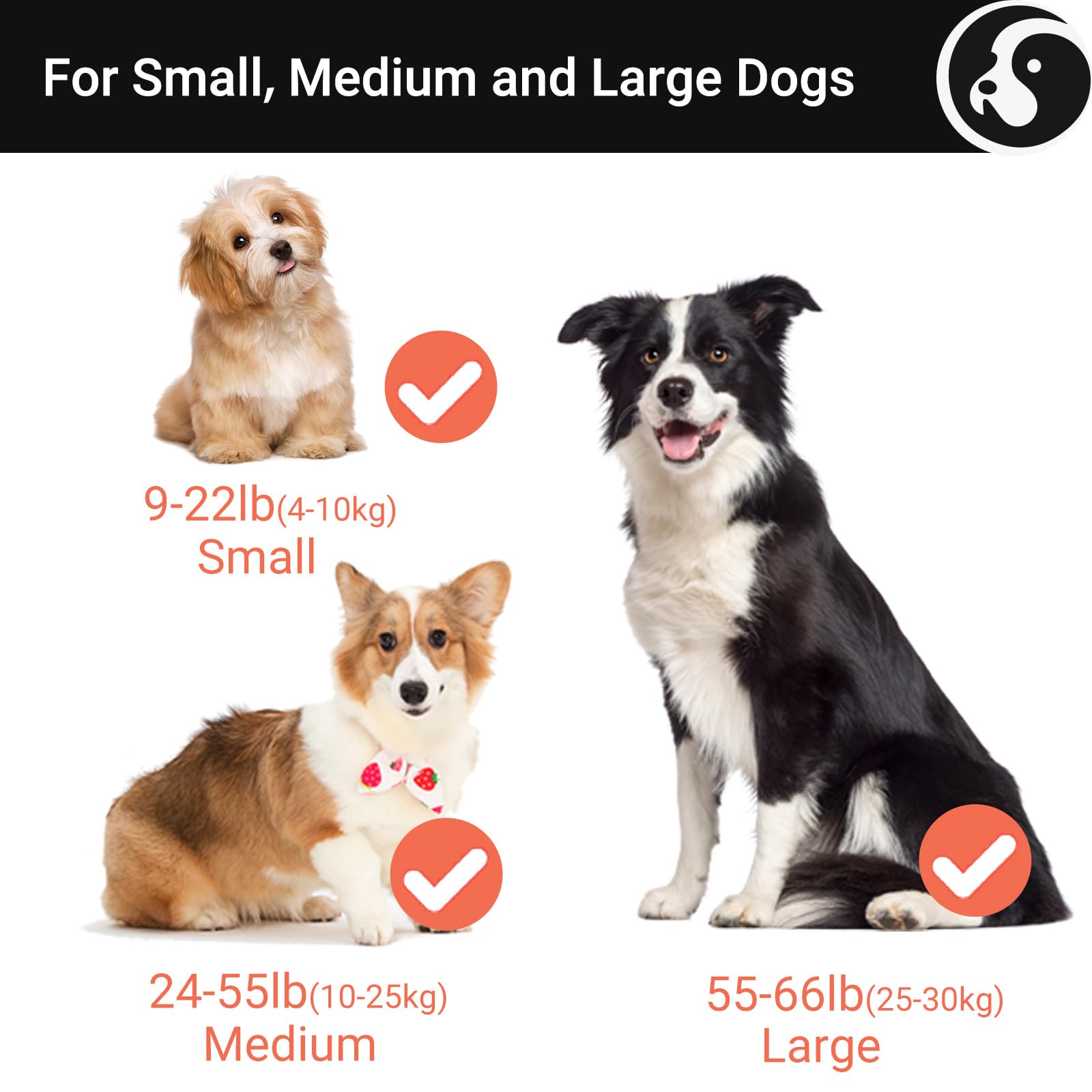 Happy & Polly 4 In 1 Dog Leash Retractable Dog Leash Heavy Duty 16.4 Ft Dog Walking Leash With Flashlight Detachable/Protective Bungee Leash/Magic Box For Small Medium Dogs